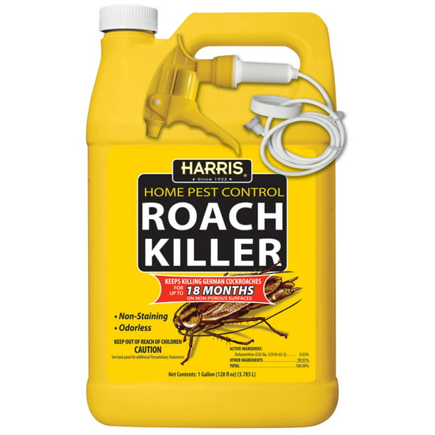 are roach traps bad for dogs