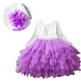thumbnail image 4 of Toddler Baby Flower Girls Beaded Lace Backless A-Line Princess Tutu Tulle Party Dress, 4 of 5