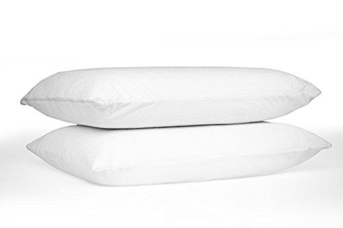 Resort Pillow Protector Microfiber Zip Cover Allergen Barrier Queen 2-Pack