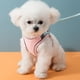thumbnail image 4 of Chaleco para gatos, chaleco reflectante de moda para mascotas de exterior, gatito rosa, talla L, 4 of 5