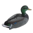 thumbnail image 4 of Adorno flotante realista de pato, señuelo para jardín, ahuyentador y espantapájaros n. degree 4, 35 cm, Drake Drake de 35 cm, 4 of 9