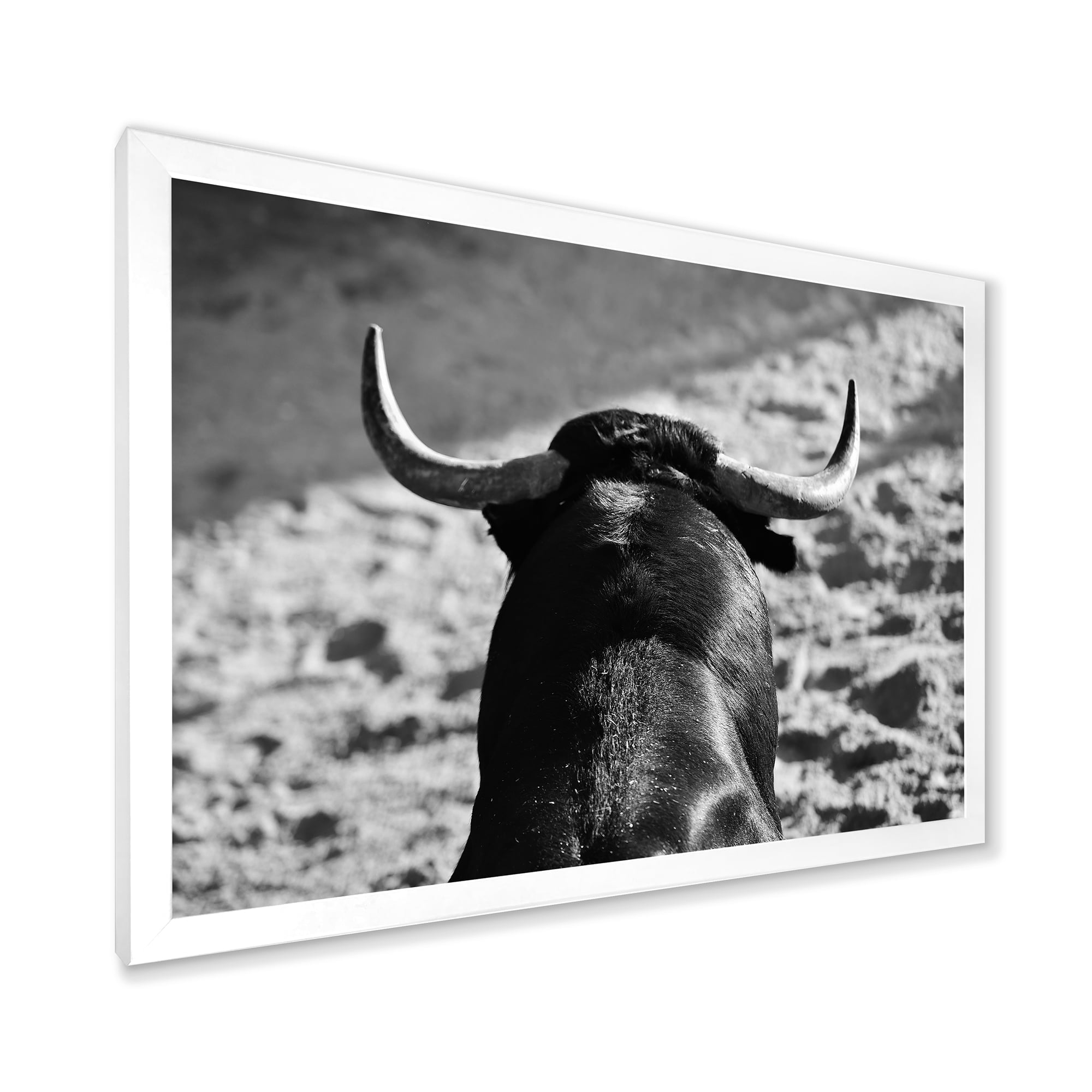 Designart 'Black and White Portrait Of A Spanish Bull II' Farmhouse Framed Art Print