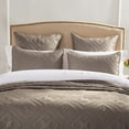 thumbnail image 4 of Calla Angel Fern Crystal Pillow Sham, 4 of 7