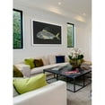 thumbnail image 3 of Marmont Hill "Roosterfish" by Warren Sellers Framed Painting Print, 3 of 6
