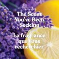 thumbnail image 4 of Yankee Candle Scented Candle, Lemon Lavender, 20 oz Signature Large Tumbler, 4 of 8