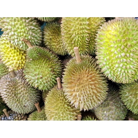Canvas Print Food Fruit Singapore Ripe Durian Juicy Healthy Stretched Canvas 10 x