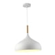 thumbnail image 2 of Lámpara colgante de Metal, pantalla de lámpara, cubierta de luz de techo, cubierta para luz de techo para decoración del hogar y casa de Blanco, 2 of 9