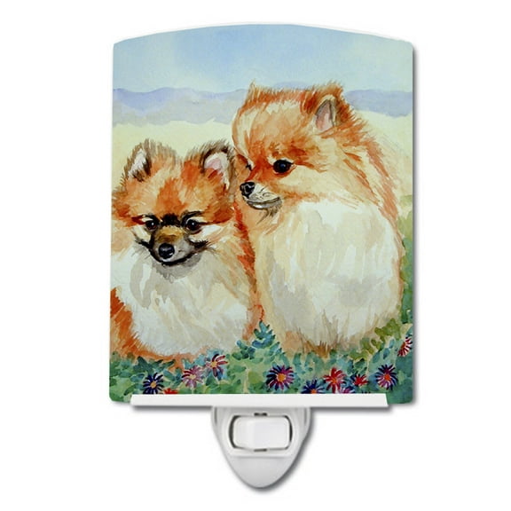 Caroline's Treasures 7262CNL Pomeranian Ceramic Night Light, 6x4x3", multicolor