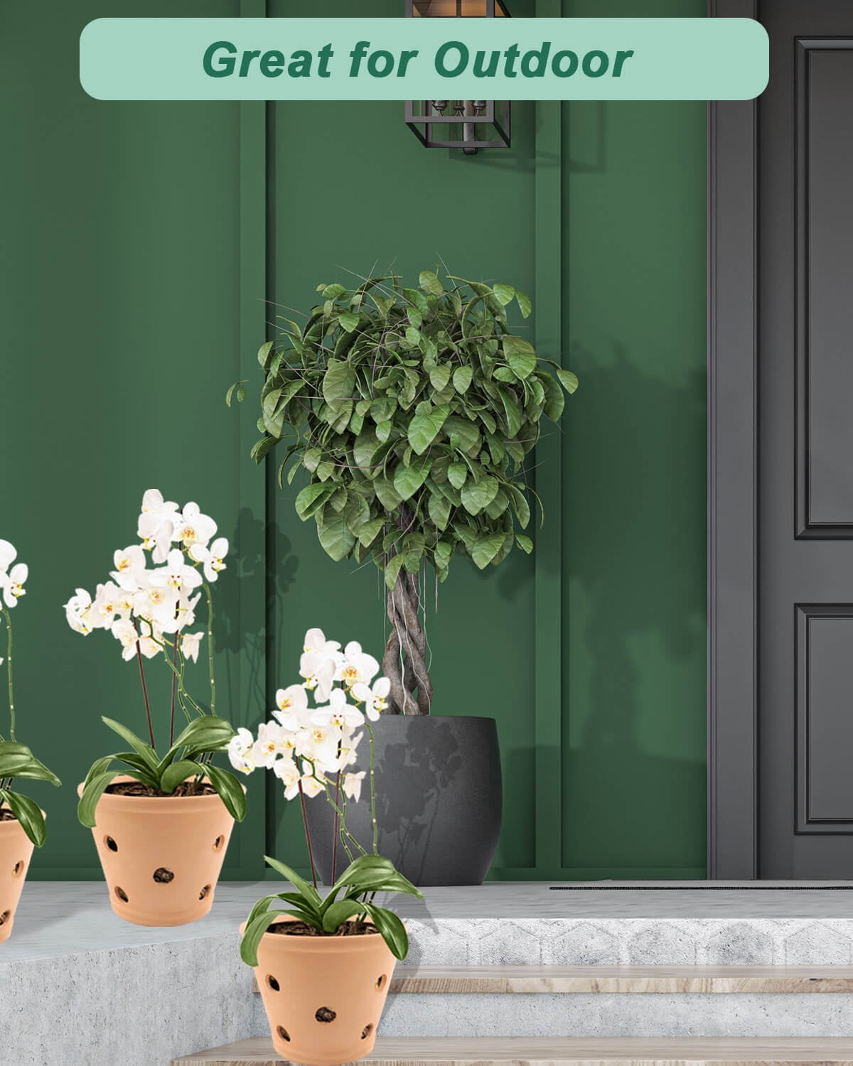6 Inch Terracotta Orchid Pots with Holes and Saucers - 3 Pcs Small Clay Orchid Planter Pots for Repotting, Plant Flower Pots for Orchid Indoor and Outdoor Promotes Air Circulation