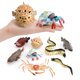thumbnail image 2 of Juego de figuras de animales marinos realistas de 9 piezas de juguete de PVC para vida marina, 2 of 3