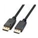 Axiom DisplayPort cable - 15 ft