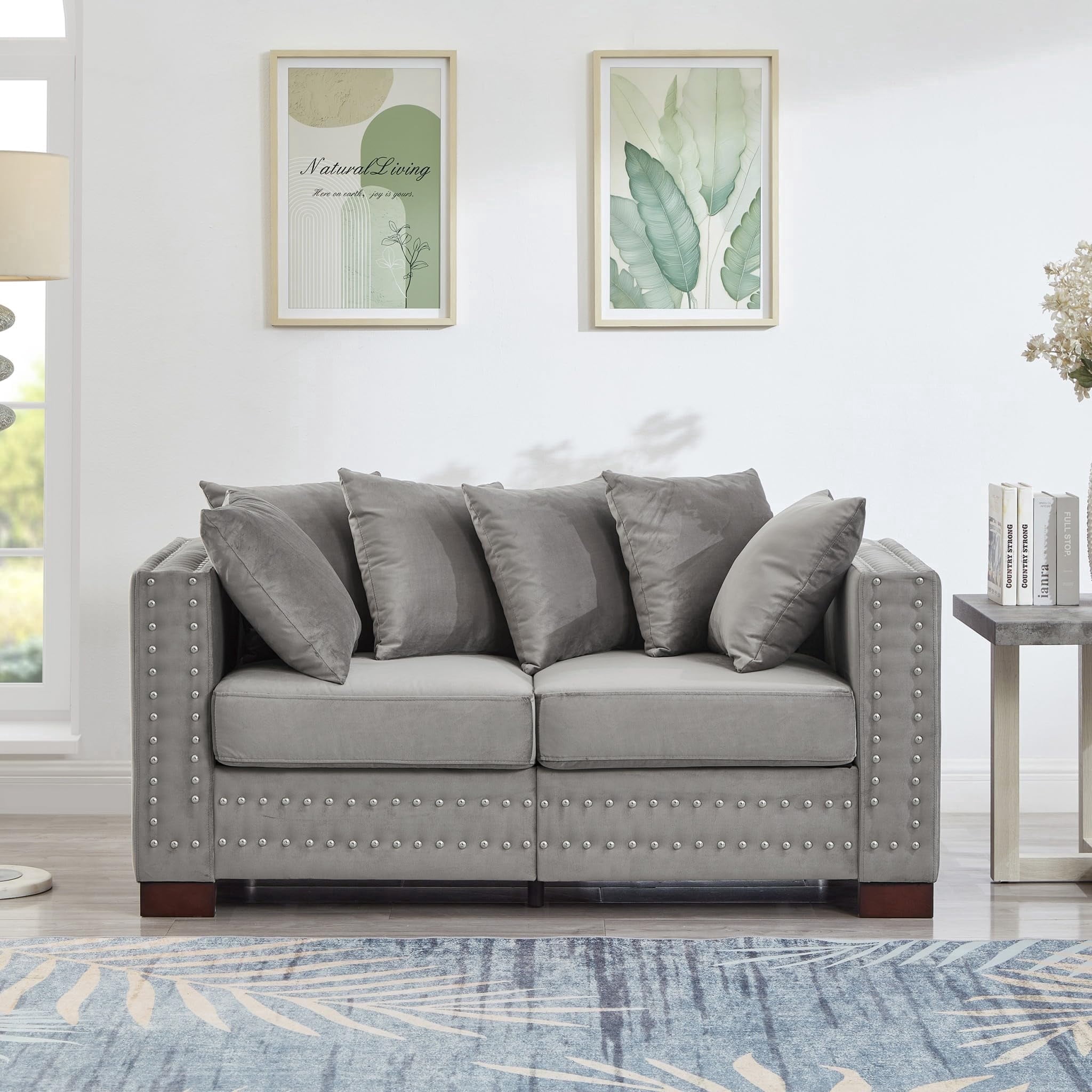 Eyisean 61" Velvet Modern Loveseat Sofa for Living Room, 2-Seater Upholstered Tufted Couch with Nailhead Arms & Pillow, Removable/Washable Cushion, Cloud Couch with Storage Space