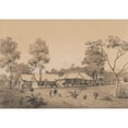 thumbnail image 2 of Michel Jean Cazabon 18x14 Black Ornate Wood Framed Double Matted Museum Art Print Titled - The Cottage Residence of the Governor (1857), 2 of 5