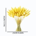 thumbnail image 3 of chaungfeng 17" Artificial Bunny Tails Dried Flowers, 20 Pcs Faux Dried Lagurus Ovatus, Dried Yellow Pampas Grass Decor for Farmhouse Flower Arrangements Wedding Home Boho Party Decorations, 3 of 8