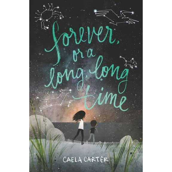 Forever, or a Long, Long Time, (Hardcover)