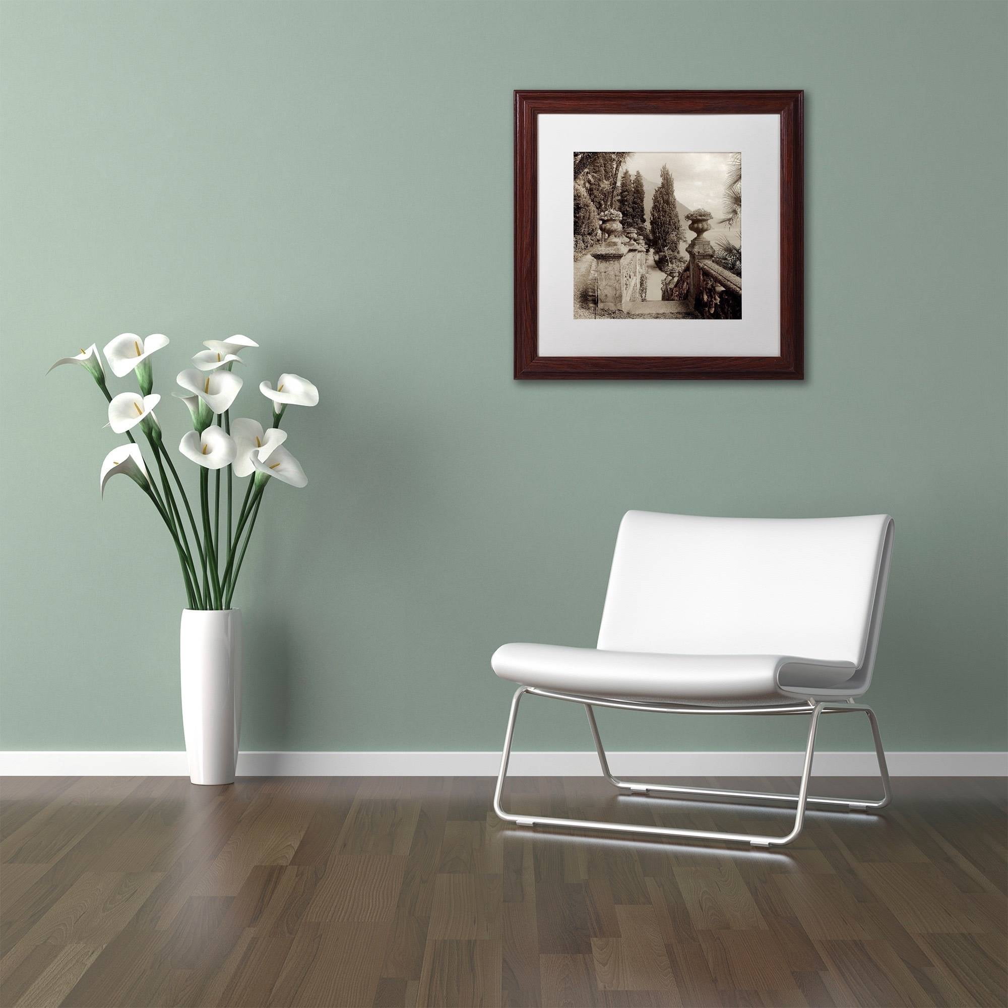 Trademark Fine Art "Lombardy VIII" Canvas Art by Alan Blaustein, White Matte, Wood Frame