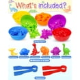 thumbnail image 2 of Yetonamr Juego Montessori de Conteo de Dinosaurios de 48 Piezas, 2 of 6