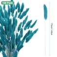 thumbnail image 3 of Uxcell 120-Pack Bunny Tails Grass 17 Inch Fluffy Rabbit Tail Grass Dried Flowers for Home/Wedding [Blue Green], 3 of 7