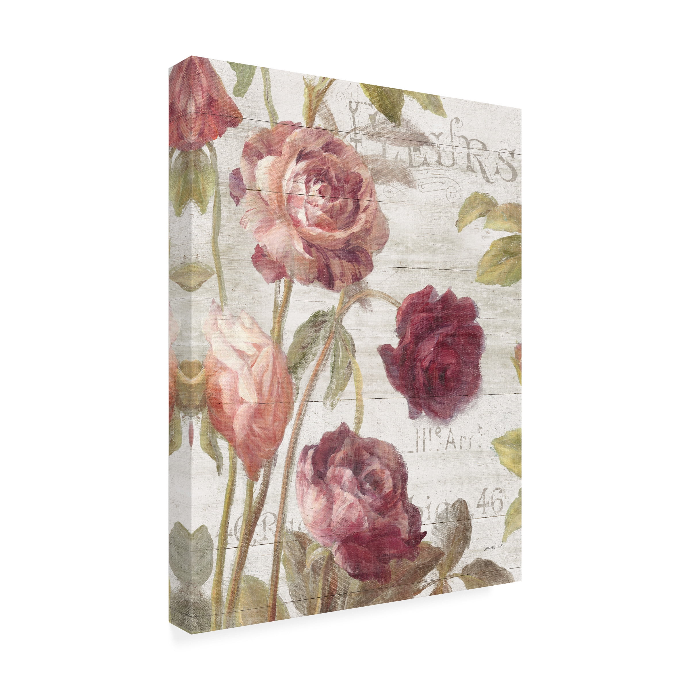 Trademark Fine Art 'French Roses II' Canvas Art by Danhui Nai