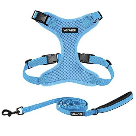 Voyager Step-in Lock Dog Harness w Reflective Dog Leash Combo Set with Neoprene Handle 5ft - Supports Small, Medium and Large Breed Puppies/Cats by Best Pet Supplies - Baby Blue, L