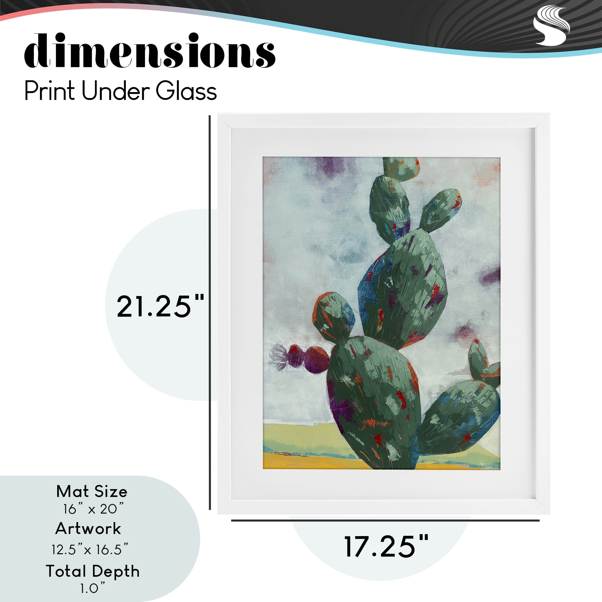 Stand Tall Rounded Cacti White Framed Print Under Glass, design by Dianna Fritzler