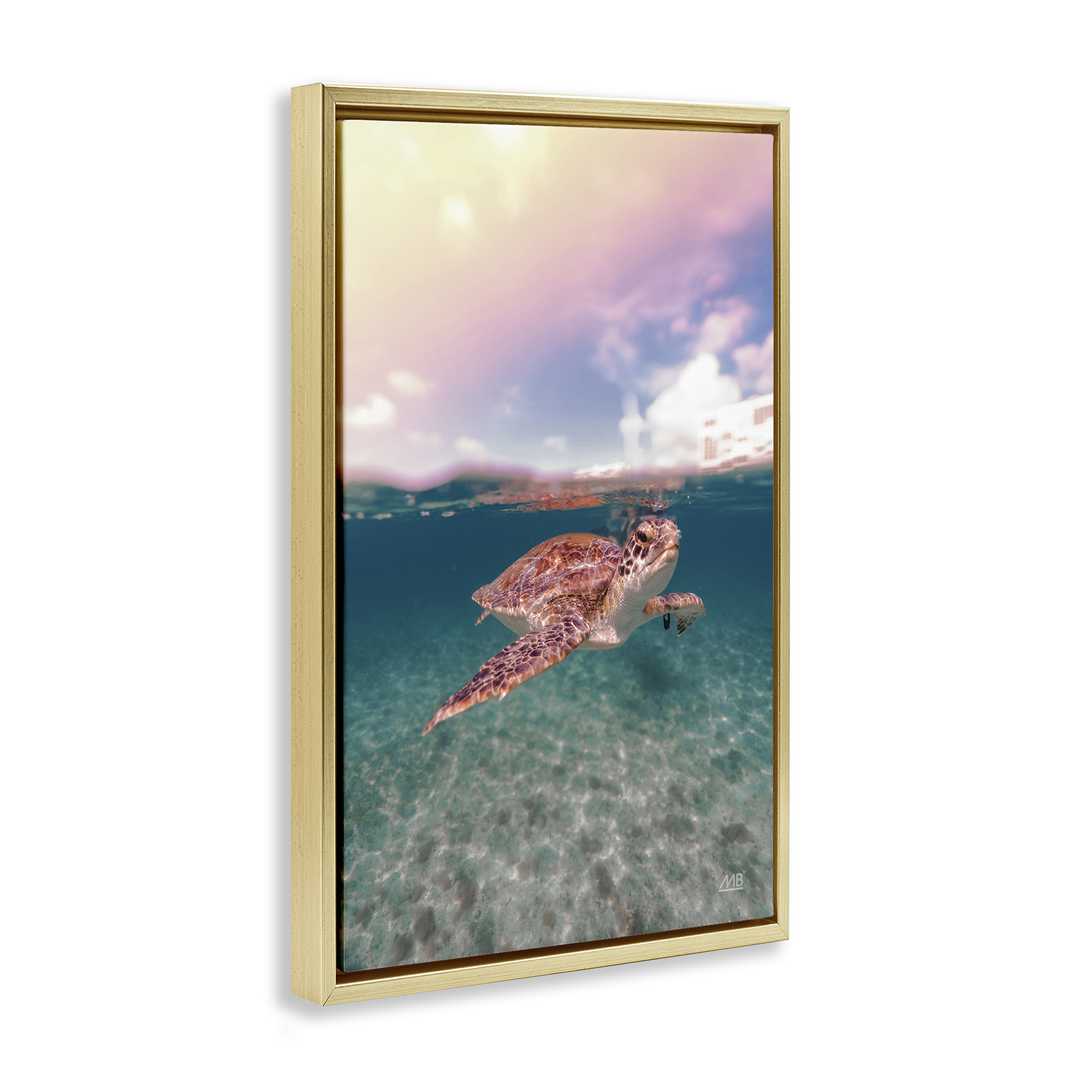 Stupell Industries Above & Below Sea Turtle Animals Photography Gold Floater Framed Canvas Art Print Wall Art, 17 x 25