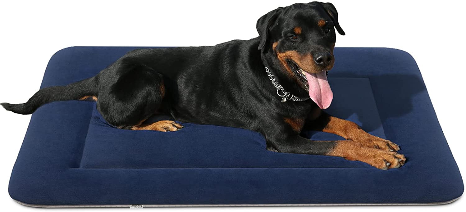 Springer Spaniel Large Warm Blanket Fleece Throw Dog Bed Chair Car Sofa 