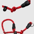 thumbnail image 4 of Typpkmm Dog Collar with P Chain Pet Collars Adjustable, 4 of 7