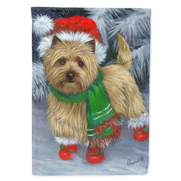 Carolines Treasures PPP3058GF Cairn Terrier Christmas Red Boots Flag Garden Size  Small multicolor