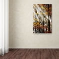 thumbnail image 4 of Trademark Fine Art "Just the Light" Canvas Art by Philippe Sainte-Laudy, 4 of 4