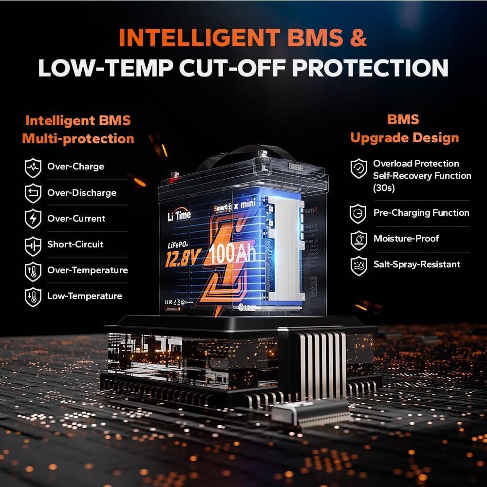 LiTime 12V 100Ah MINI LiFePO4 Battery 100A BMS Bluetooth Lithium Battery for RV Travel Trailers