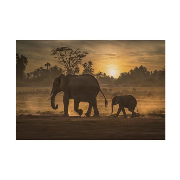 Canvas Wall Art - Isam Telhami 'Follow Me' Wall Art for Living Room, Bedroom, or Office DÃ©cor by Trademark Fine Art - 19 x 12 Inches