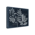 thumbnail image 2 of Trademark Fine Art 'Foliage on Navy V' Canvas Art by Vision Studio, 2 of 4