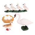 thumbnail image 4 of Conjunto de modelos de ciclo de de animales Juguete de salmón Colección de juguetes educativos para Sunnimix  Juego de crecimiento de tortugas marinas, 4 of 8