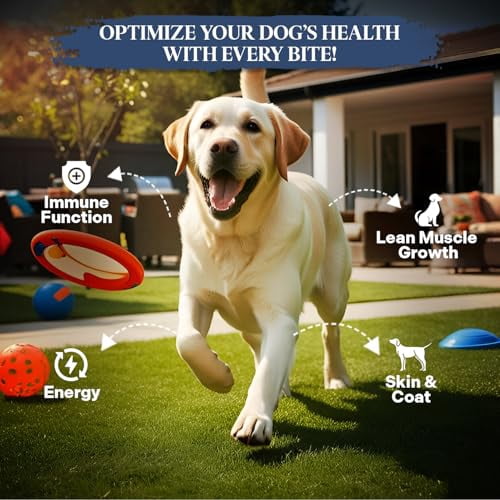 Healthy Dogma - Homestyle PetMix with Chicken |Dehydrated Dog Food, Clean Ingredients, No Preservatives, Homemade Dog Food 2lbs