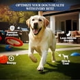 thumbnail image 3 of Healthy Dogma - Homestyle PetMix with Chicken |Dehydrated Dog Food, Clean Ingredients, No Preservatives, Homemade Dog Food 2lbs, 3 of 6