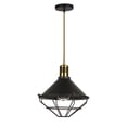 thumbnail image 1 of Xtricity - Pendant Light, 9.84 '' Width, From The Elton Collection, Black, 1 of 3