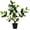 Brin Tree, variant on 20" Artificial Pomegranate Tree Fake House Green Plant Fruits Decoration with Plastic Pot Big Realistic Leaves for Home Table Office Garden Indoor