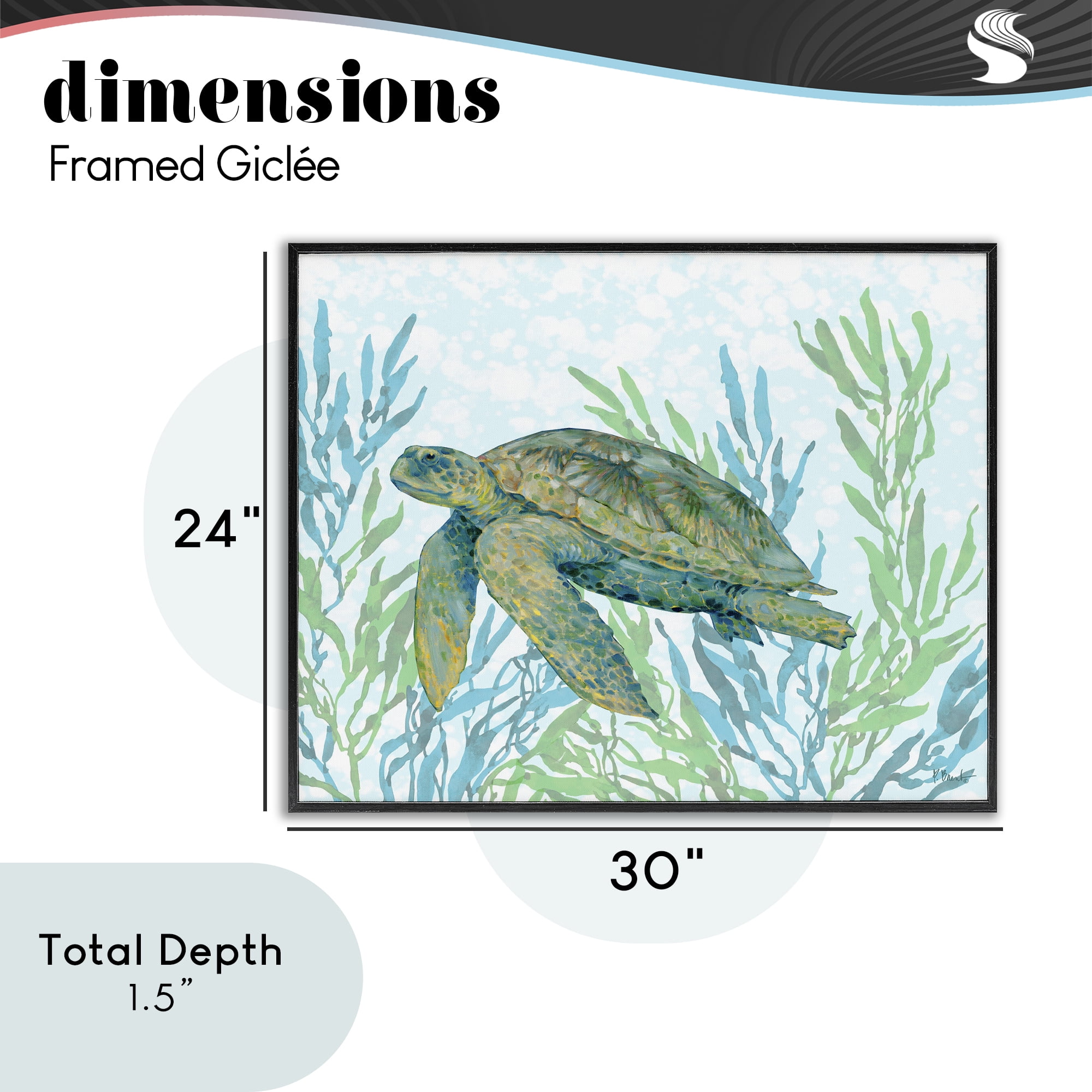 Stupell Industries Tasman Turtle in Seagrass Black Framed Giclee Art, design by Paul Brent
