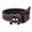 Coffee, variant on Y2K Skull Studded Belt for Women, Heart-Eye Skull Buckle Punk Goth Waist Belt with Rivet Edges, Concert Festival & Everyday Streetwear, 5 Colors, Fits Waist 33"-35"
