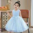 thumbnail image 4 of KAWELL Flower Girls Party Dress Embroidery Sleeveless Rainbow Mesh Tulle Princess Lace Ball Gown Prom, 4 of 5
