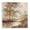 Sepia Forest Stream, variant on Stupell Industries Rustic Lodge Misty Birch Tree Forest Landscape Black Floating Frame Canvas Art, 18 x 18, by Michael Marcon