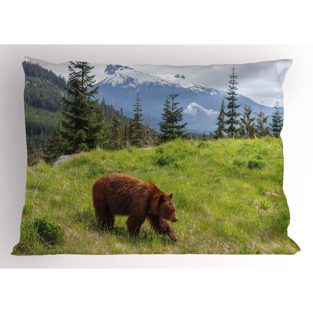 Bear Pillow Sham Wildlife up in the Mountains Theme Furry Animal