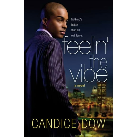Feelin' the Vibe, (Paperback)
