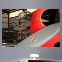 Wallhogs Daylily Dreams Airplane Glossy Wall Mural