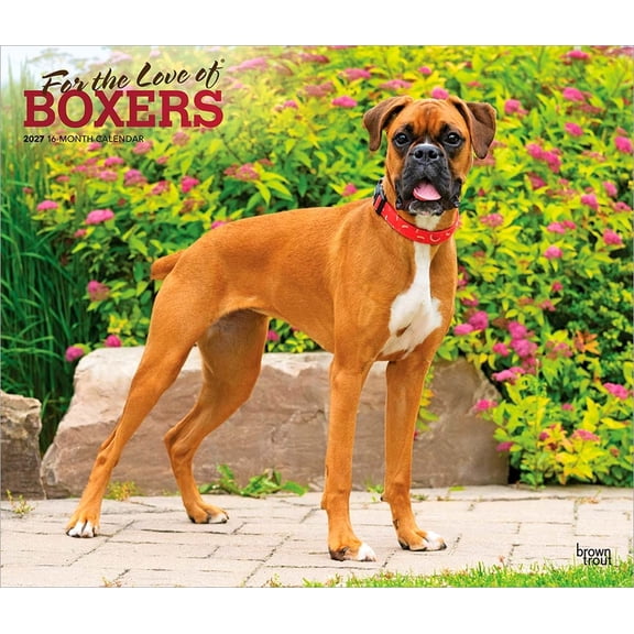 For the Love of Boxers | 2027 14x24" (Hanging) Wall Calendar | Plastic-Free