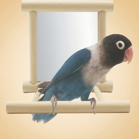 - Funny Wooden Bird Mirror Stand Platform Bird Toy for Parrots Cockatiel