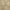 Light Brown, variant on oneOone Polyester Spandex Dusty Rose Fabric Tropical Fabric For Sewing Printed Craft Fabric By The Yard 56 Inch Wide
