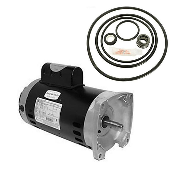 Puri Tech Sta-Rite Dyna-Glas 2HP MPRA6G-155L Replacement Motor Kit AO Smith USQ1202 w/GO-KIT-47