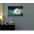 thumbnail image 2 of Epic Graffiti  "Wood Series: A Daisy" Giclee Canvas Wall Art, 12" x 18" 12" x 18", 2 of 2